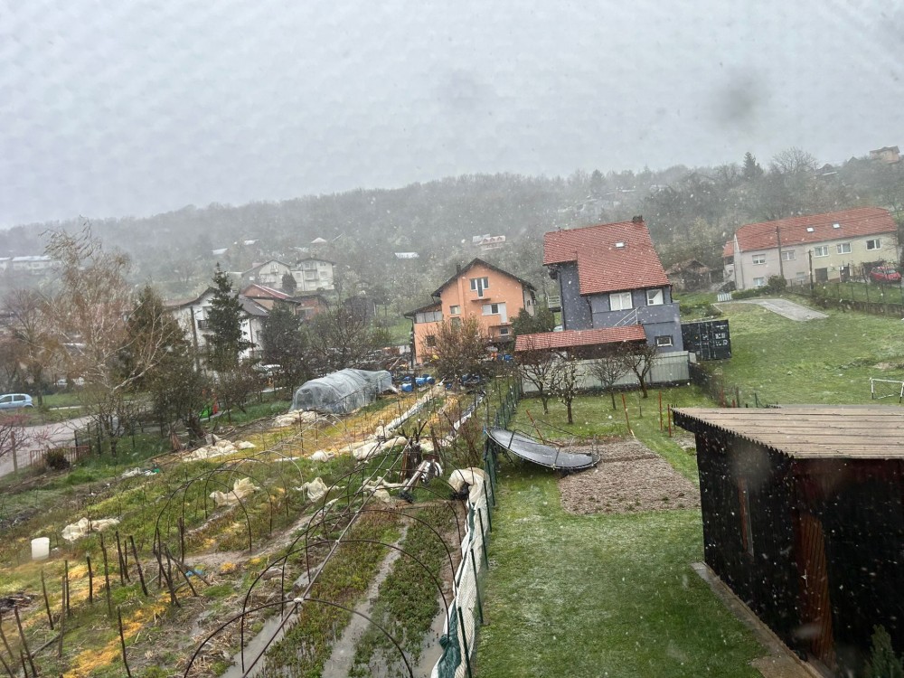 WhatsApp_Image_2026_03_27_at_07_.12 (2).jpeg